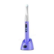 iLed plus Curing Light Woodpacker IMG