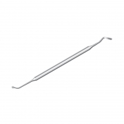 Гладилка шаровидная №1 IMG